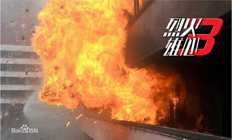 王喜(Wong He)2009年《烈火雄心3》最全剧照