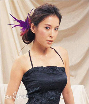 李婉华(Anita Lee)相册前后照片