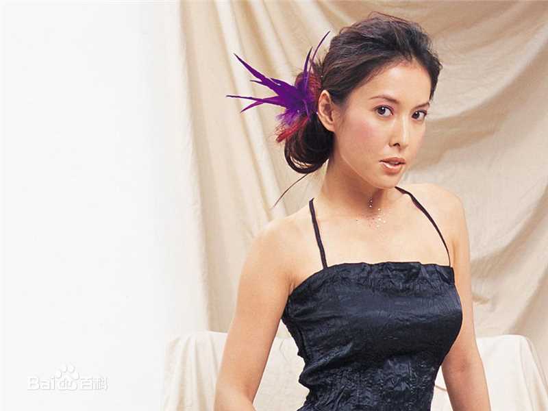 李婉华(Anita Lee)精彩图册
