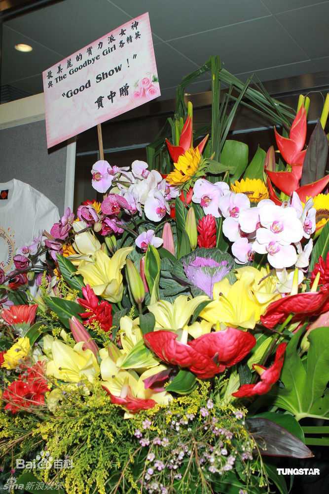 黄贯中(Paul Wong)精彩图册