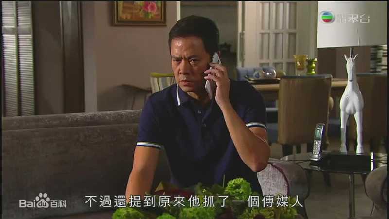 陈嘉辉(CHAN KA FAI GARY)电视最全剧照