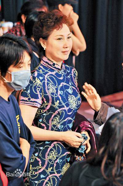 沈海蓉精彩图册