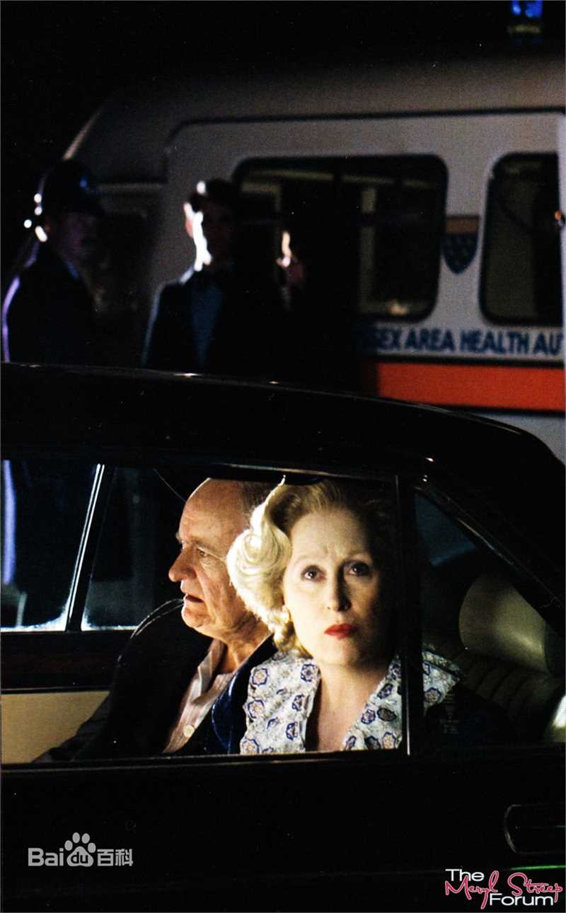 最优质梅丽尔·斯特里普(Meryl Streep)精彩图册