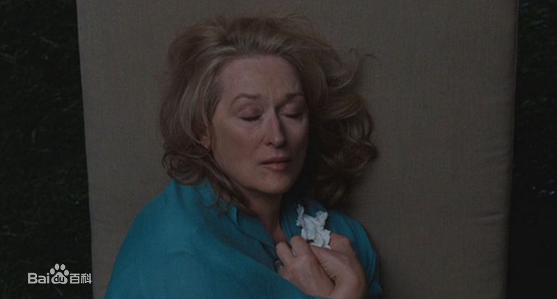 最优质梅丽尔·斯特里普(Meryl Streep)精彩图册
