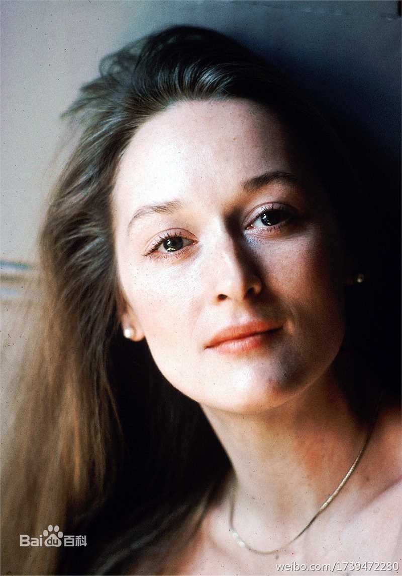 精选梅丽尔·斯特里普(Meryl Streep)精彩图册