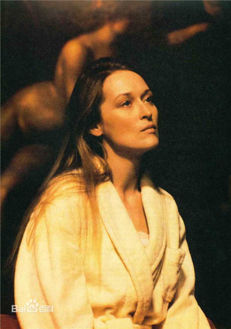 精选梅丽尔·斯特里普(Meryl Streep)精彩图册