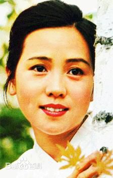 最全洪学敏壁纸