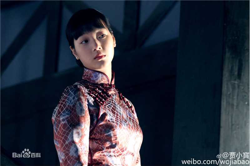 最优质何杜娟在《好家伙》薛小家中的相册