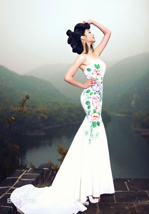 何杜娟2010前后照片