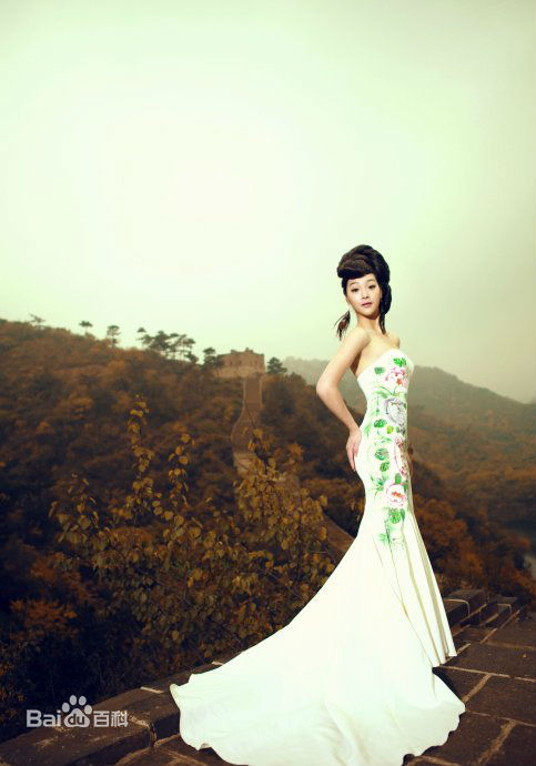 何杜娟2010前后照片