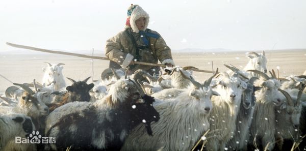 黄曼(Huang man)《生于1949》（后更名《人生无悔》）高清剧照