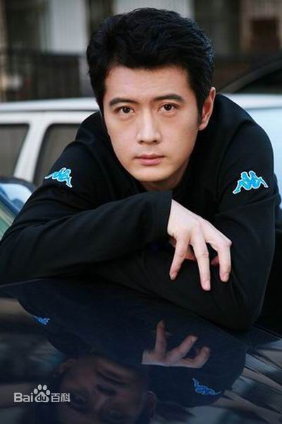 最全王同辉精彩图册