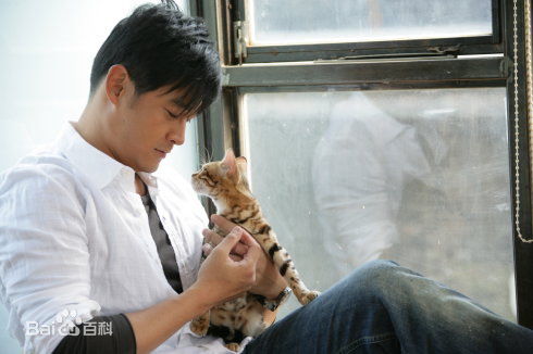 黄维德(Victor Huang)最全个人壁纸