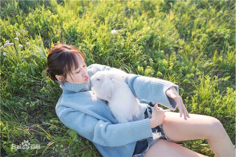 练练最全草原壁纸