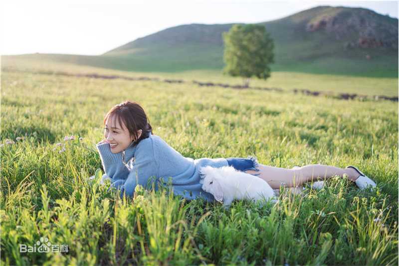 练练最全草原壁纸