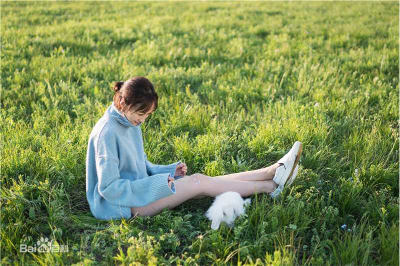 练练最全草原壁纸