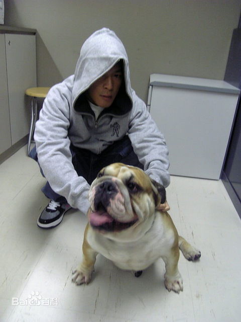 最新麦浚龙(JunoMak)精彩图册