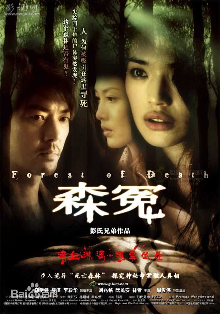 彭氏兄弟恐怖片最全海报壁纸