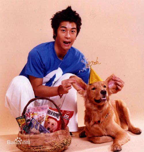 精选周俊伟(Lawrence Chou)精彩图册