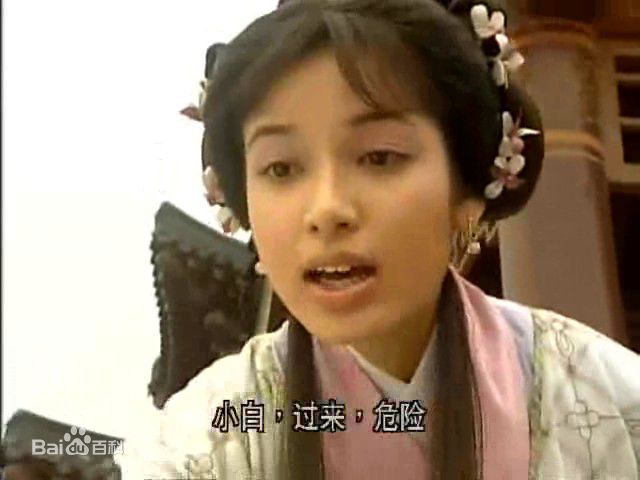 郑雪儿(Michelle Saram)寻秦记里的壁纸壁纸