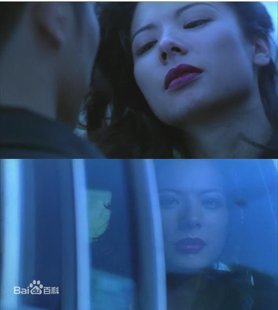 高清叶芳华(Francoise Yip)精彩图册