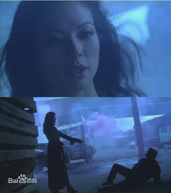 高清叶芳华(Francoise Yip)精彩图册