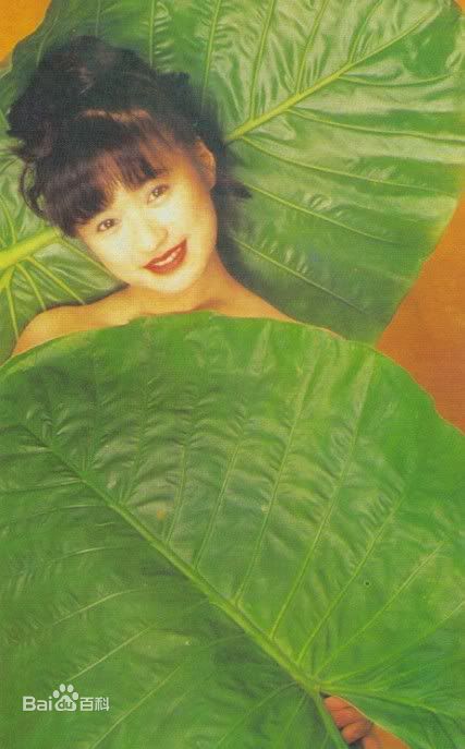 精选杨羚(Carol Yeung)精彩图册