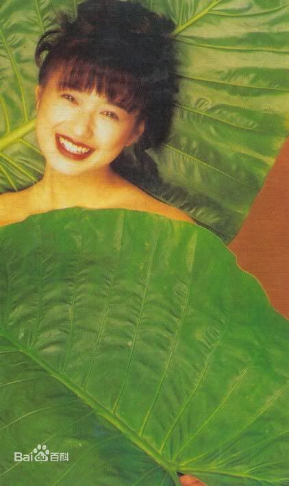 精选杨羚(Carol Yeung)精彩图册