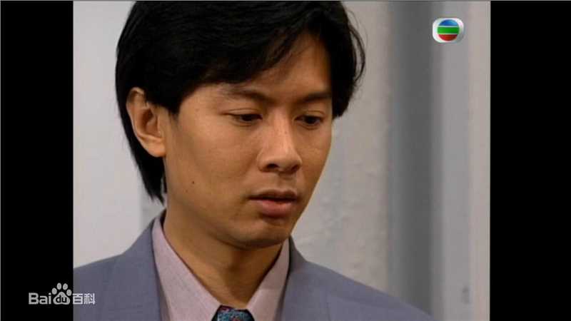 最全何宝生(Timmy HO)在《刑事侦缉档案3》程守望中的相册