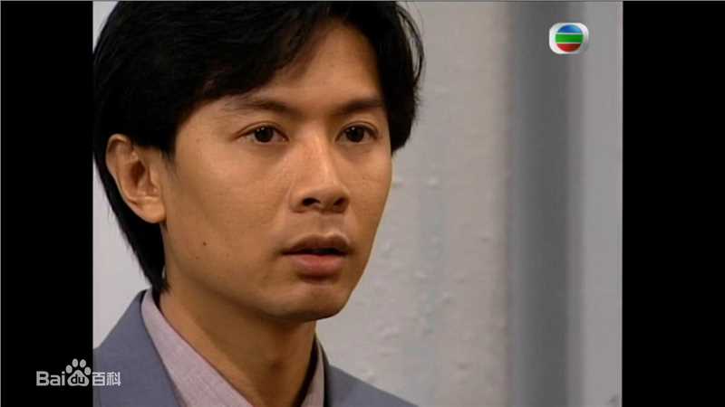 最全何宝生(Timmy HO)在《刑事侦缉档案3》程守望中的相册