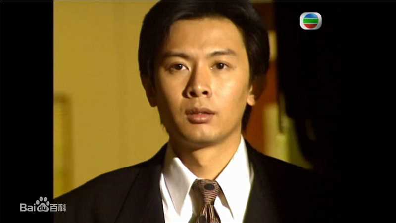 最全何宝生(Timmy HO)在《刑事侦缉档案3》程守望中的相册