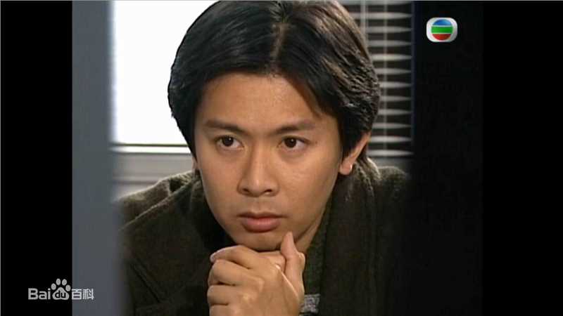 最全何宝生(Timmy HO)在《刑事侦缉档案3》程守望中的相册