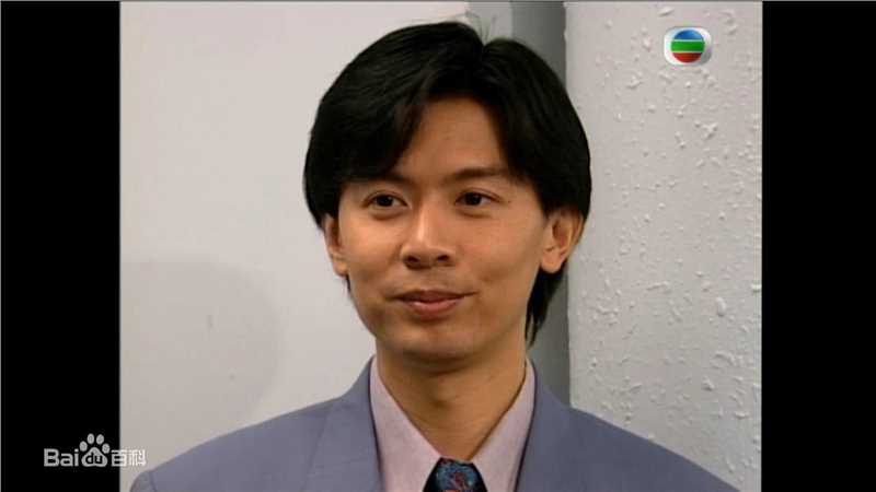 最全何宝生(Timmy HO)在《刑事侦缉档案3》程守望中的相册