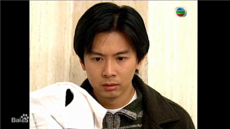 最全何宝生(Timmy HO)在《刑事侦缉档案3》程守望中的相册