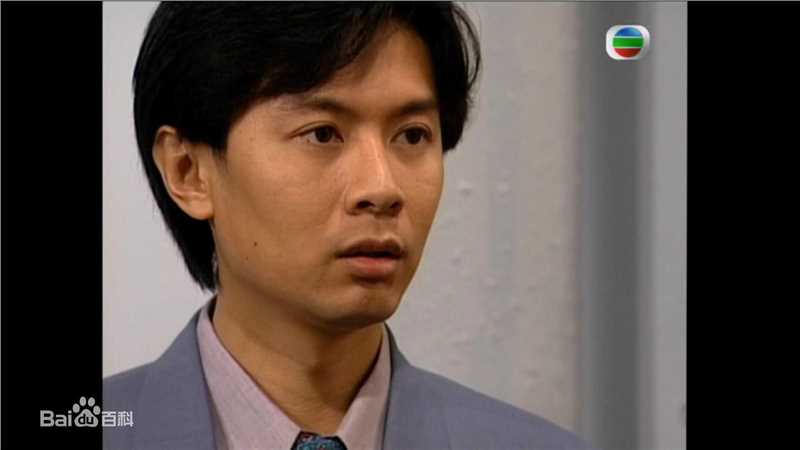 最全何宝生(Timmy HO)在《刑事侦缉档案3》程守望中的相册