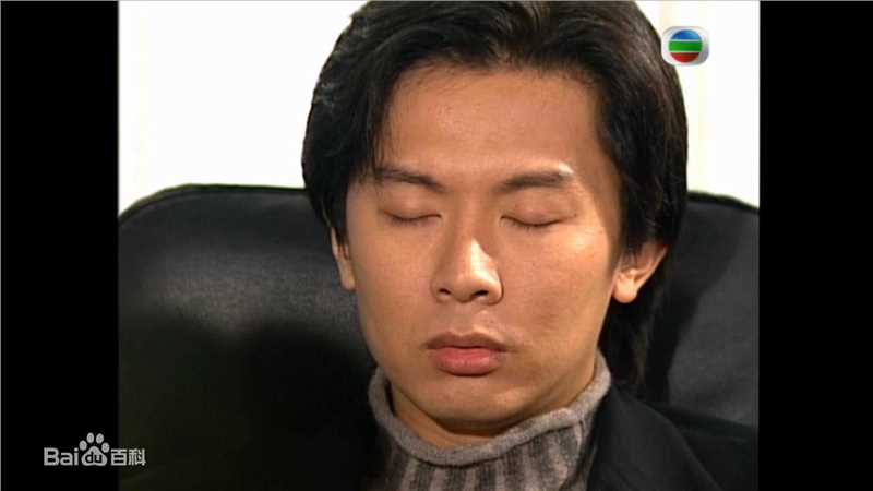 最全何宝生(Timmy HO)在《刑事侦缉档案3》程守望中的相册