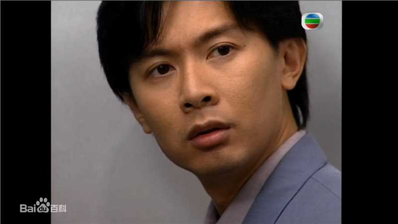 最全何宝生(Timmy HO)在《刑事侦缉档案3》程守望中的相册