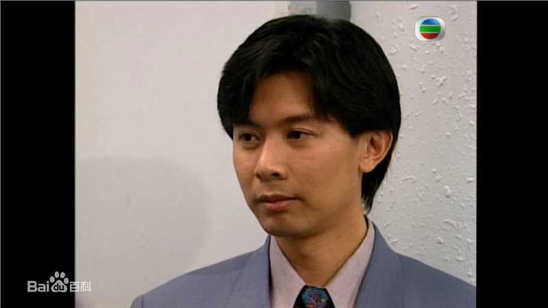 最全何宝生(Timmy HO)在《刑事侦缉档案3》程守望中的相册