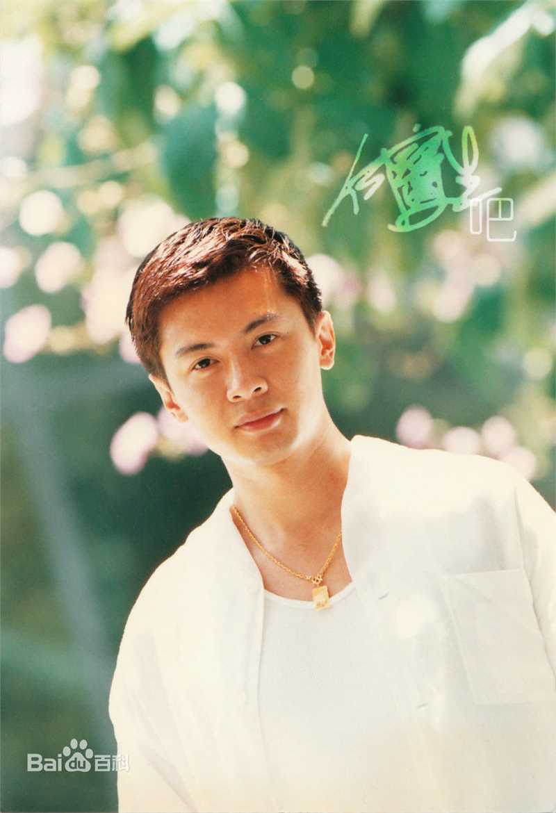 何宝生(Timmy HO)前后照片