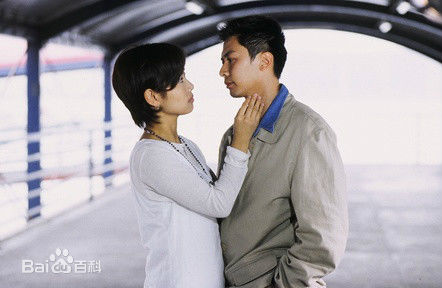 何宝生(Timmy HO)剧集截图图片图集