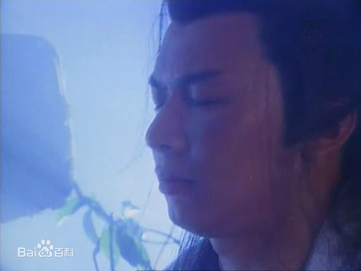 高清何宝生(Timmy HO)在《白发魔女传》卓一航中的图册