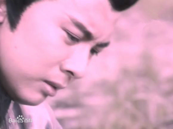 高清何宝生(Timmy HO)在《白发魔女传》卓一航中的图册