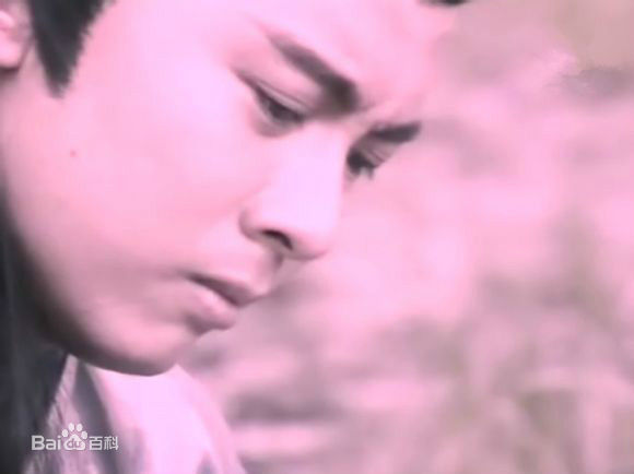 高清何宝生(Timmy HO)在《白发魔女传》卓一航中的图册