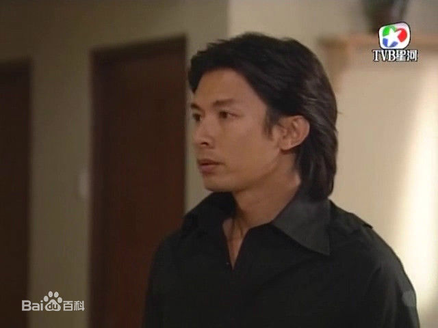 高清何宝生(Timmy HO)在《外父唔怕做》阿Sue中的图册