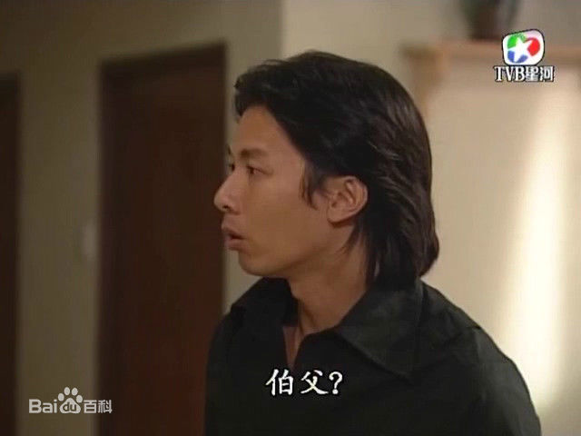 高清何宝生(Timmy HO)在《外父唔怕做》阿Sue中的图册