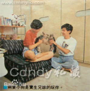 最优质何宝生(Timmy HO)生活照