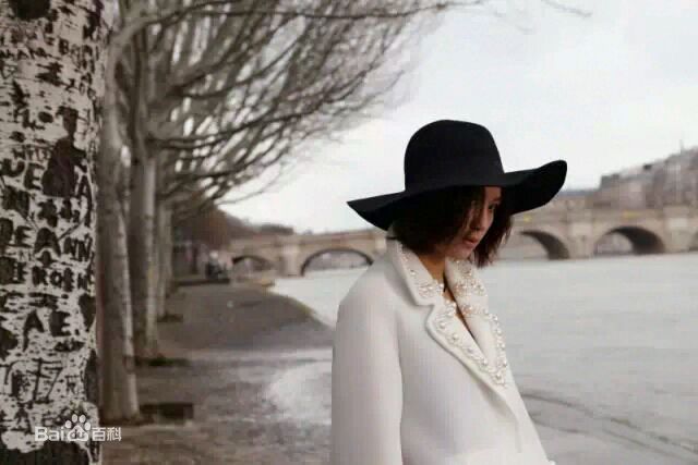 周笔畅(BiBi Zhou)最全法国壁纸
