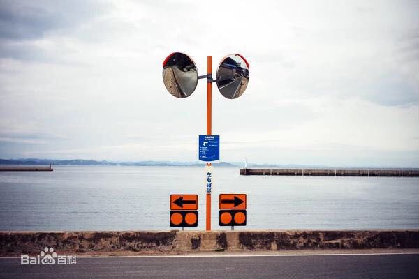 周笔畅(BiBi Zhou)摄影作品生活照