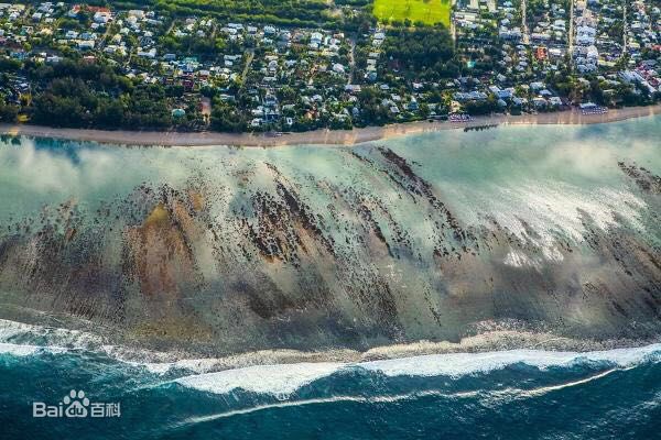 周笔畅(BiBi Zhou)摄影作品生活照