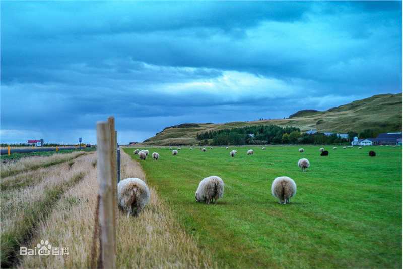 周笔畅(BiBi Zhou)摄影作品生活照